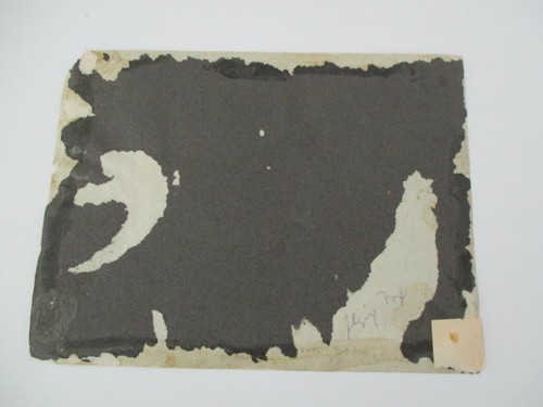 Antikes Farbfoto englisches Rennpferd FLYING FOX 1899 Triple Crown - Bild 2 von 2