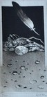Picture 1 of 5