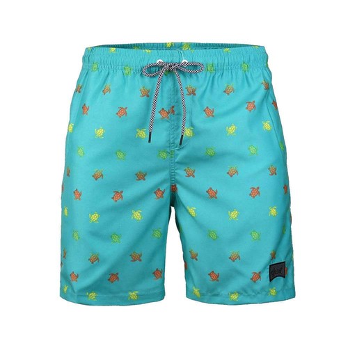 Beautiful Giant Boy's Swim Trunks with Brief Liner Quick Dry Bathing Suit - Picture 2 of 12