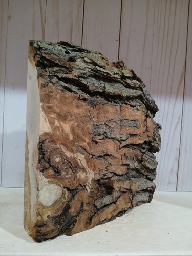 XXL MIND BLOWING CURLY Birdseye Burl wood Blank EPOXY Wood Curly Turning Wood - Picture 4 of 6