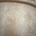 Bild 11 von 11