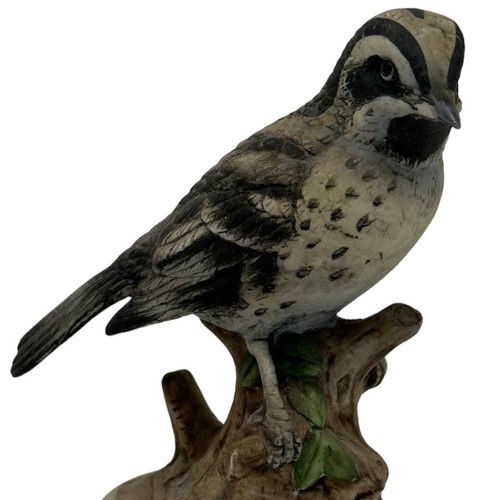 Vintage Lefton Hand-painted Porcelain Warbler Bird Figurine #KW4206 5” Tall - Picture 3 of 11