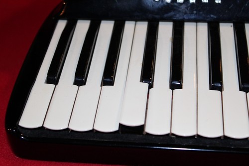 Rivoli SONOLA ITALY ACCORDIAN Near Mint Condition With Case - Picture 6 of 19