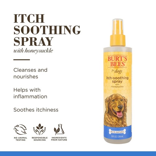 Burt's Bees for Dogs Natural Itch Soothing Spray with Honeysuckle Best Spray - Picture 4 of 5