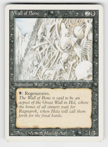 Revised Edition Wall of Bone - Picture 1 of 2