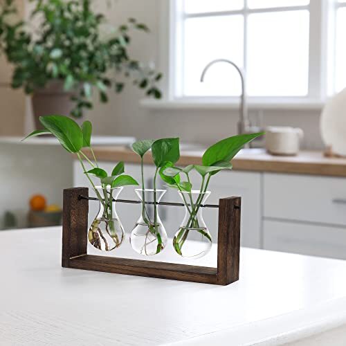 Plants Propagation Stations,Plant Terrarium with Wooden Stand Wall 3Vase-M - Picture 6 of 6