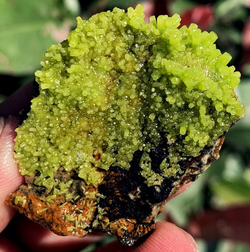 21.6g Amazing!!! New Find Raw Natural Rare Pyromorphite Crystal Specimens ip1617 - Picture 1 of 12