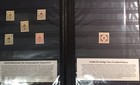 Bild 5 von 12