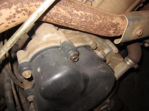Polaris Ranger RZR Sportsman Water Pump and Magneto Cover Bolts (TWO) 7517950 - Picture 2 of 3