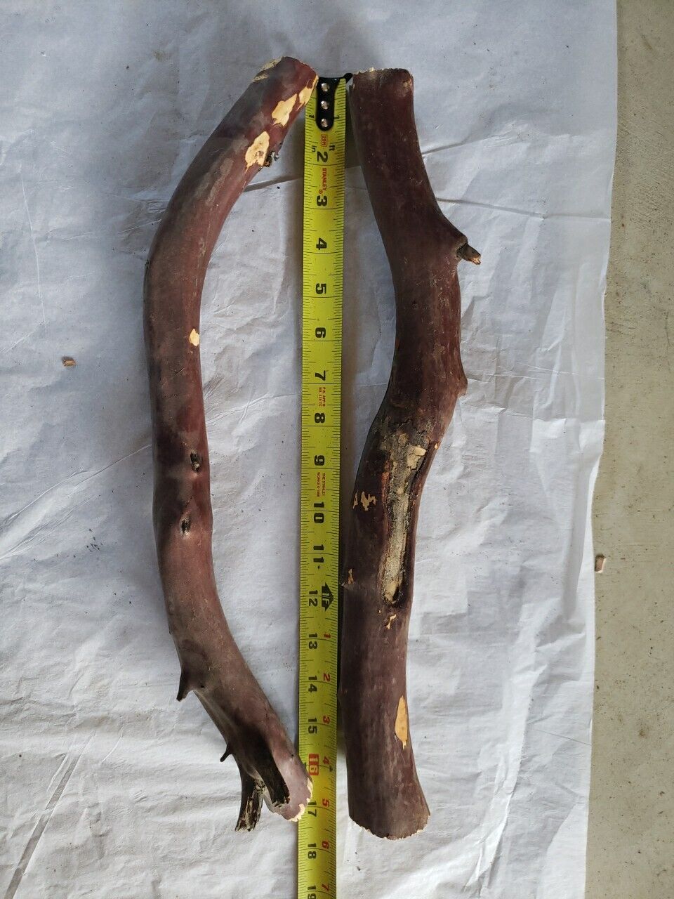 Bild 2 von 8