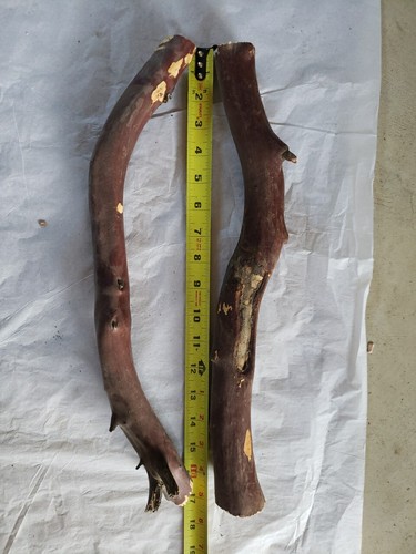 2 rot/grau Manzanita Zweig #204 grobe Schnitte 16,5" - Bild 2 von 8