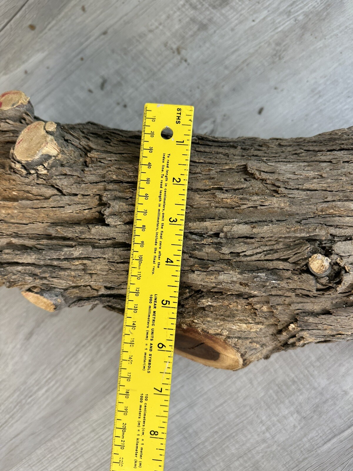 Picture 16 of 17