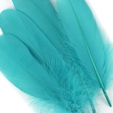 Aqua Goose Feathers 6-8" 12 Pc Wedding Millinery Crafts Decoration