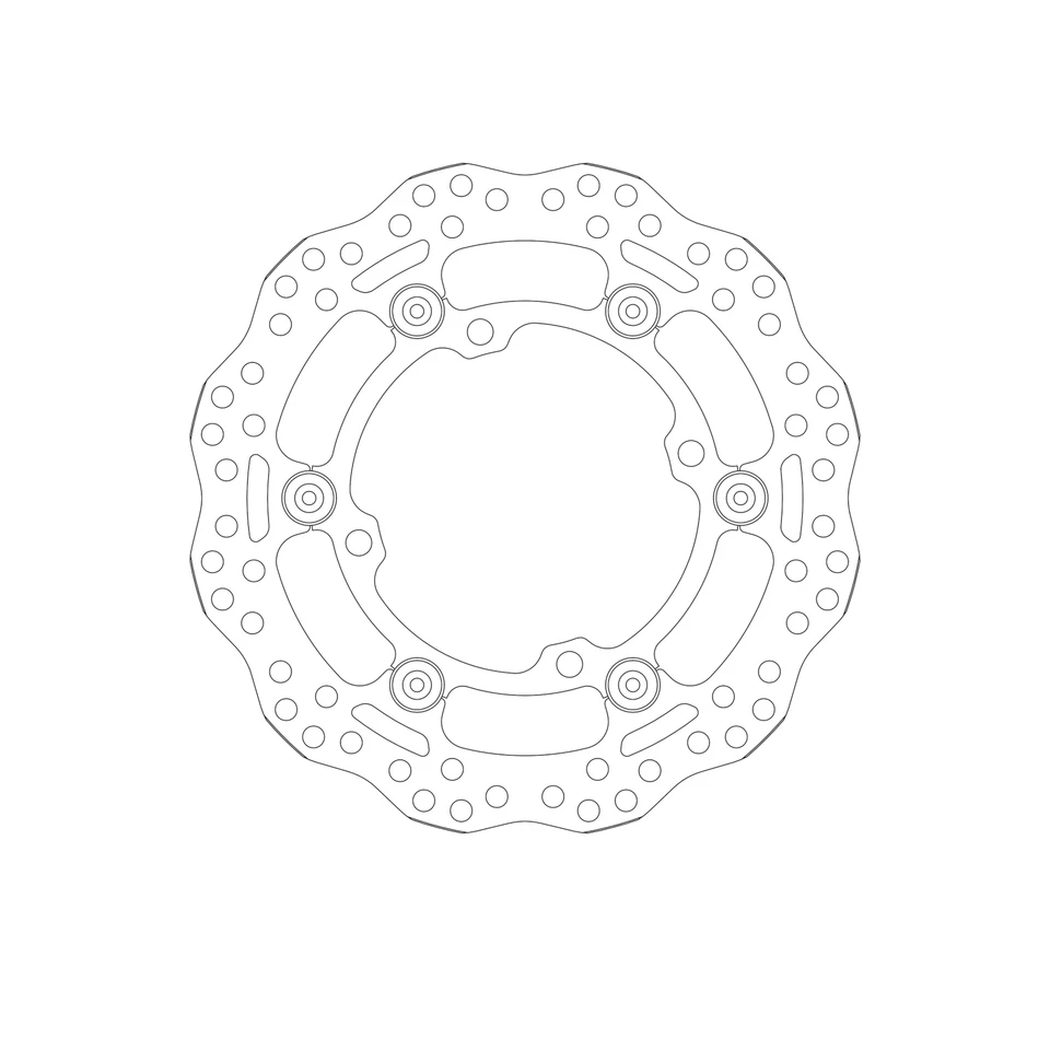 Disco de freno para KAWASAKI KLX 450 R 2008-2016 actualización delantera SBS Foto 2 de 4