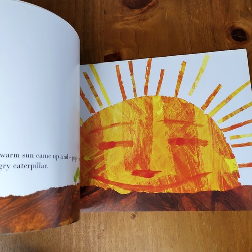Eric Carle Books x3 The Very Hungry Caterpillar, Have You Seen My Cat, Ladybird - Picture 7 of 20