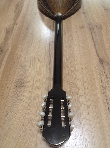 Greek Bouzouki SPECIAL OFFER-Hardcase & Pickup & 300 Backing Track & Pdf Scores - Picture 15 of 19