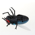 Foto 10 di 12