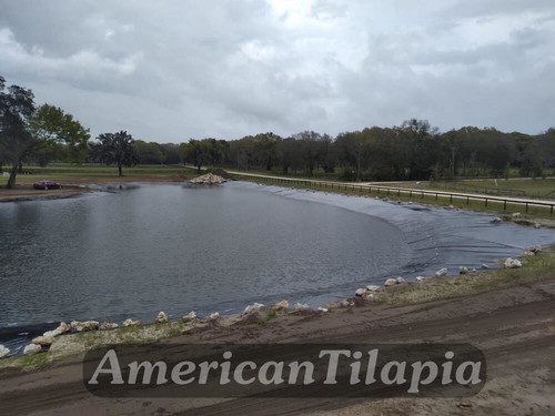 Pond Liner,30 mill,40x40,Flexible,Waterproof for Features Fish,Plants & Pools K9 - Picture 19 of 21