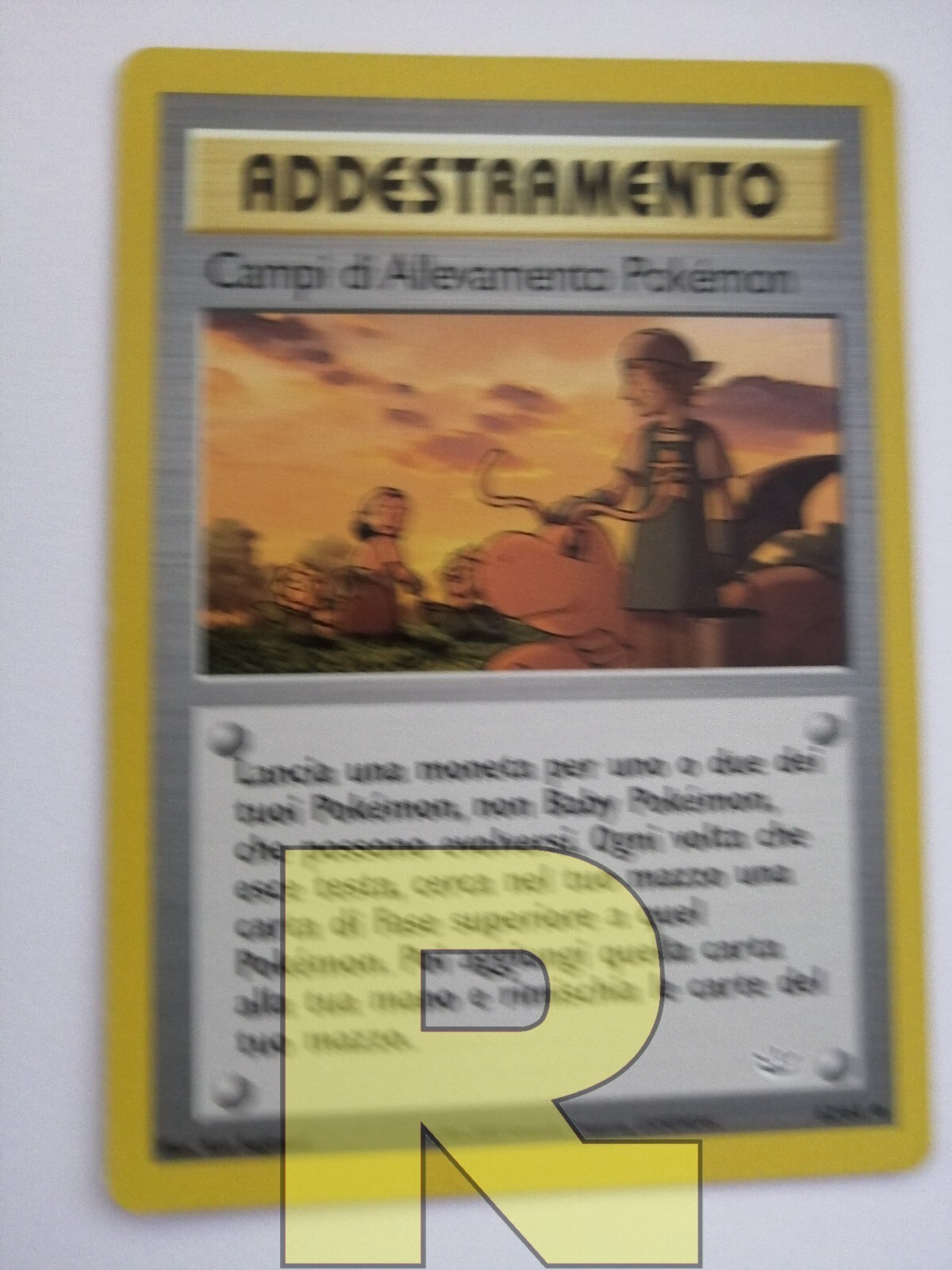 Picture 4 of 12