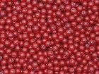 Bild 51 von 69