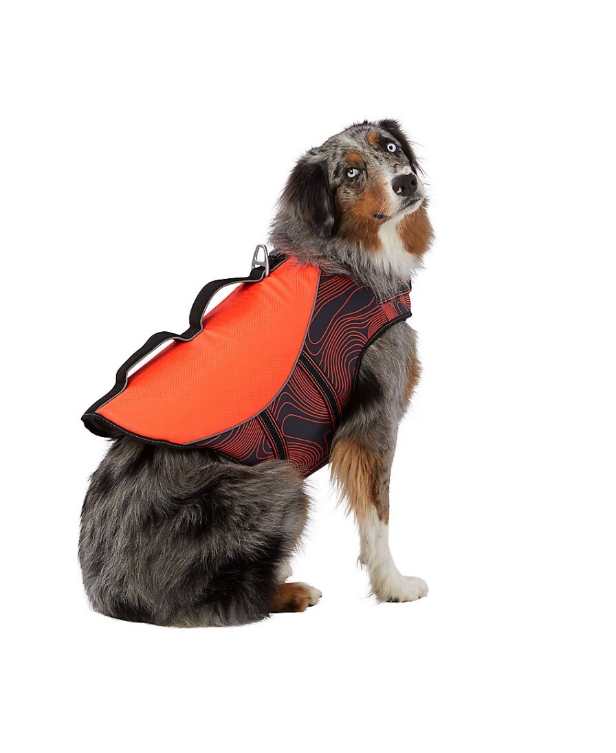Flotation Device Dog Life Jacket Petsmart Arcadia Trail® High