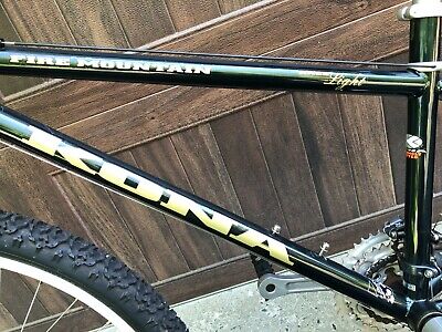 Kona Mountain Bike Fire Mountain Race