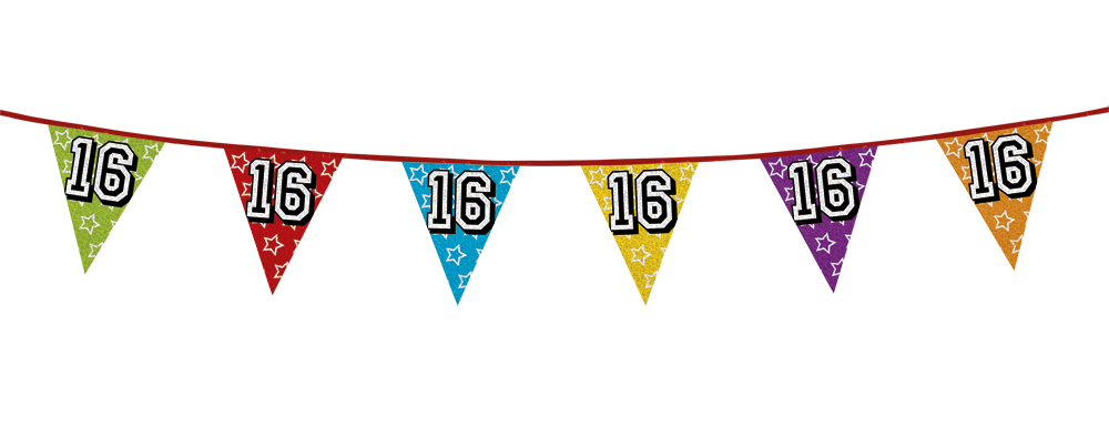 Age 16 / 16th Birthday Holographic Flag Bunting Party Decoration 26ft Long - New