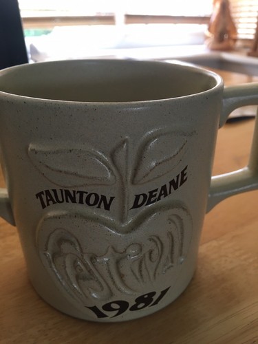 Taunton Deane Festival 1981 Two Handle Mug. - Picture 2 of 7