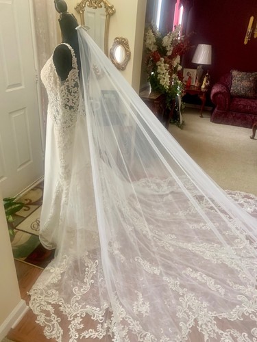 Allure Couture Allure Bridals Wedding Dress C574 & Peter Langner Cathedral Veil - Picture 22 of 24