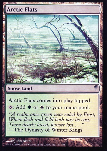 Coldsnap Jul 2006 Magic The Gathering MTG Individual Trading Cards - Bild 147 von 158