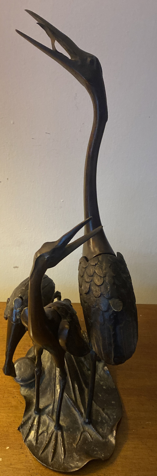 Picture 5 of 12