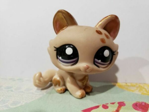 Littlest Pet Shop #1444 Tan Brown Crouching Cat Purple Eyes LPS for sale online | eBay