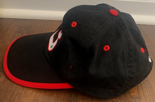 Dale Earnhardt, Cappellino/Cappello Vista Concorrente #3 Regolabile NASCAR Snapback - Foto 6 di 7