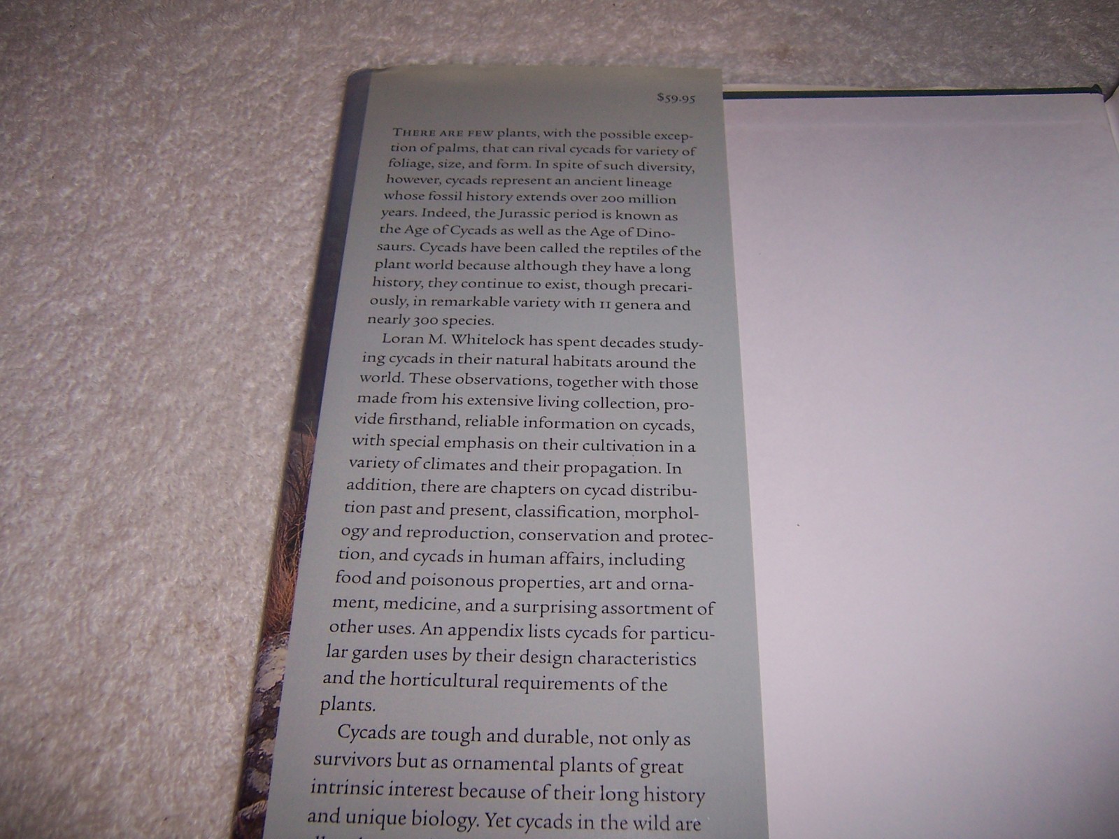 Picture 2 of 4