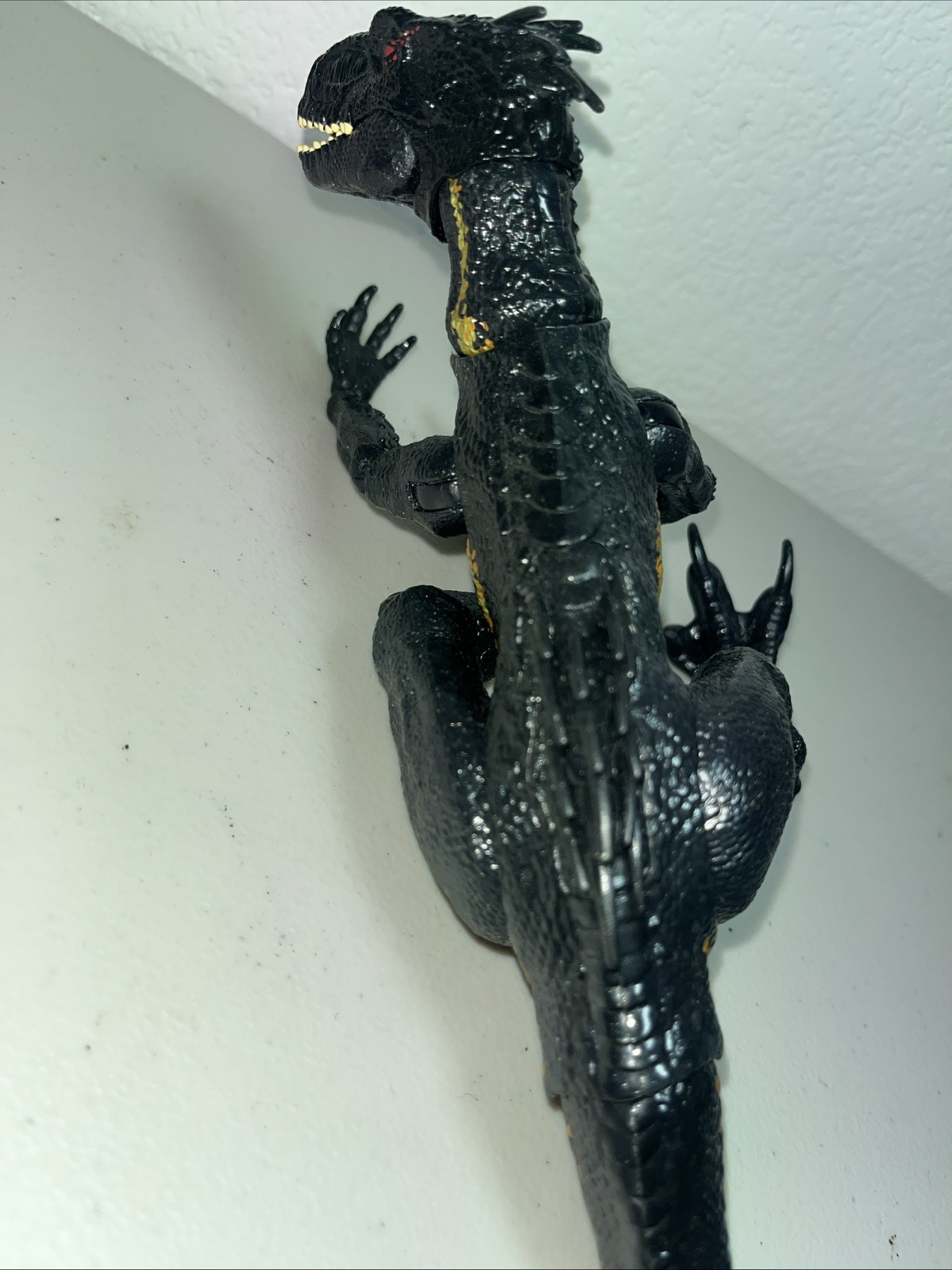 Picture 10 of 17