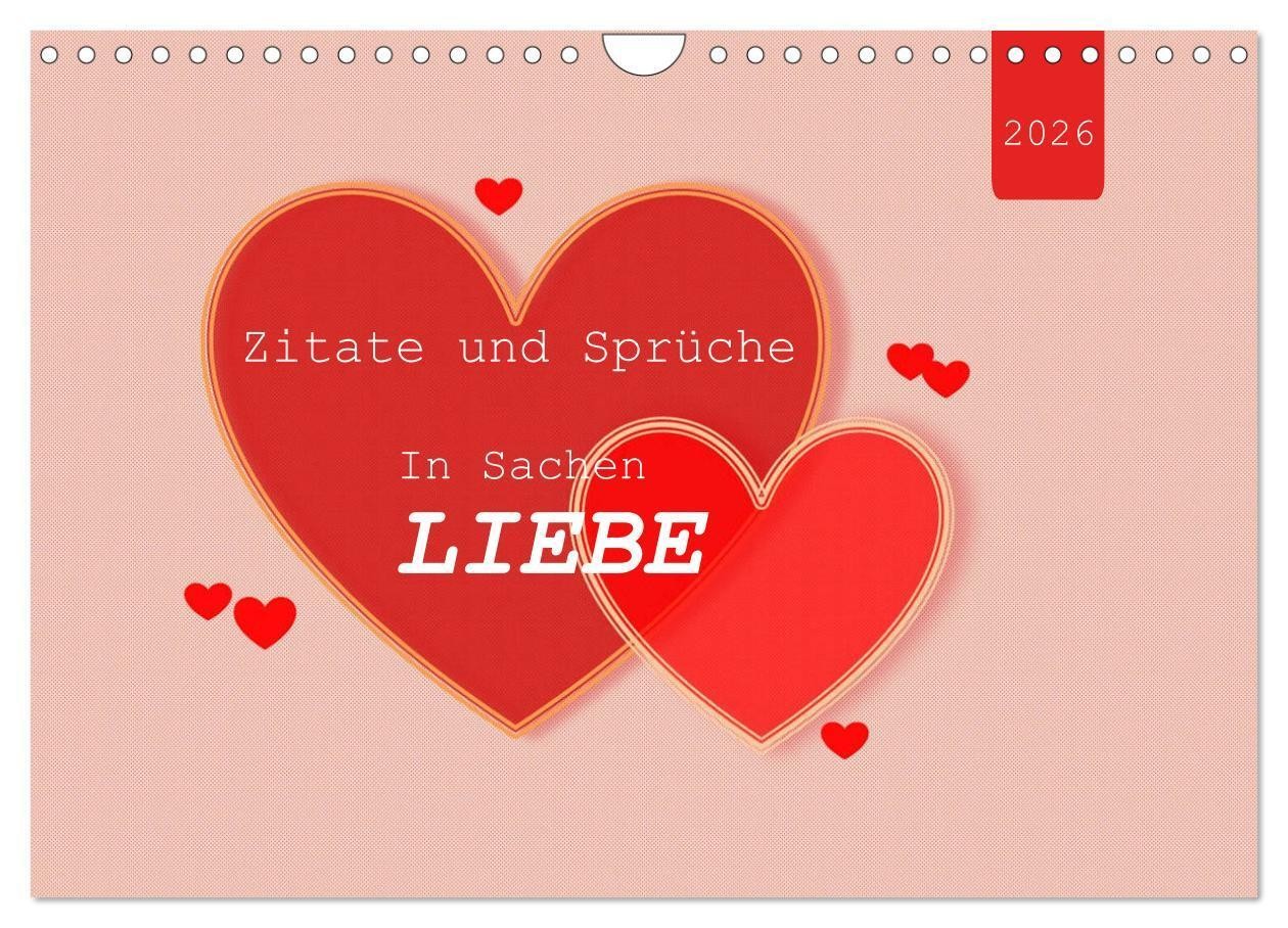 Bild 1 von 12