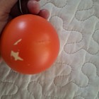 Picture 5 of 6