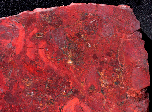 S702d ~ 4.4oz Thick Slab of Mary Ellen Jasper ~ Biwabik, Minnesota - Picture 2 of 12