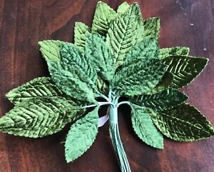 Vintage-Millinery-Flower-Green-Velvet-Leaf-12stem-Bunch-for-Hair-Hat-Y18a