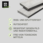Bild 7 von 7