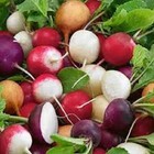 Radish Rainbow Mix Seeds Heirloom Vegetable Seeds Mixed Radish Seeds Vegetables