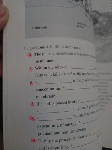 Student Study Guide for use with Human Biology by Sylvia S. Mader - Bild 4 von 4