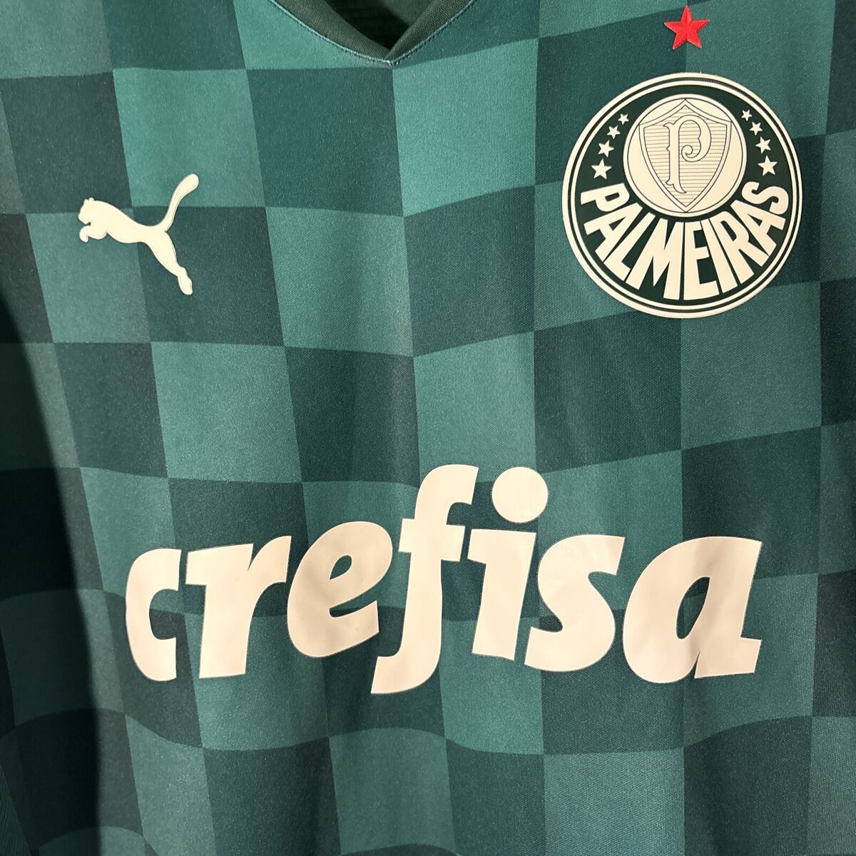 Puma 2021 Brazil Crefisa Palmeiras Green V- Neck Jersey
