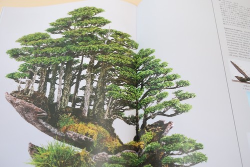 Masahiko Kimura Playing with Bonsai the Origin of His Works Bonsai Masters - Imagen 12 de 12