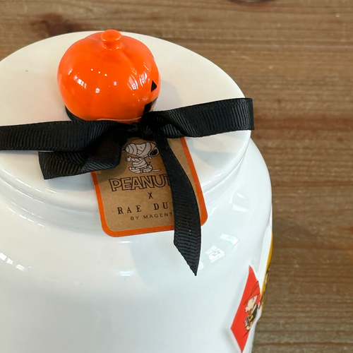 Rae Dunn X Peanuts Gang TRICK OR TREAT Halloween Canister With Pumpkin Lid NWT - Picture 3 of 8