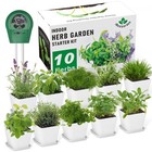 Indoor Herb Garden Kit - 10 Variety Herbs for Kitchen Windowsill & Countertop