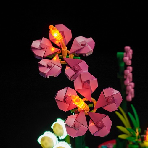 LocoLee LED Licht Kit für Lego Disney 43252 Moana's Blumentopf Beleuchtungsset - Bild 8 von 11