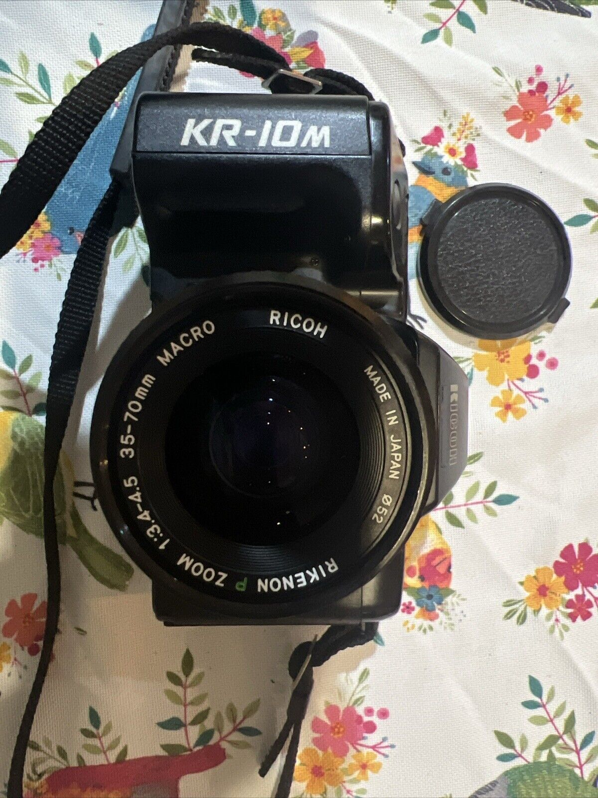 Picture 5 of 24