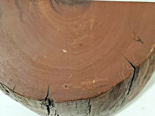 California Redwood Tree Book Ends Minimalist Rustic Vintage Collectible NO BOOKS - Picture 12 of 12