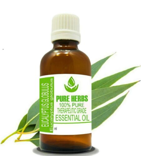 Pure Herbs Eucalyptus Globulus 100% Pure & Natural Globulus Essential Oil - Foto 7 di 8